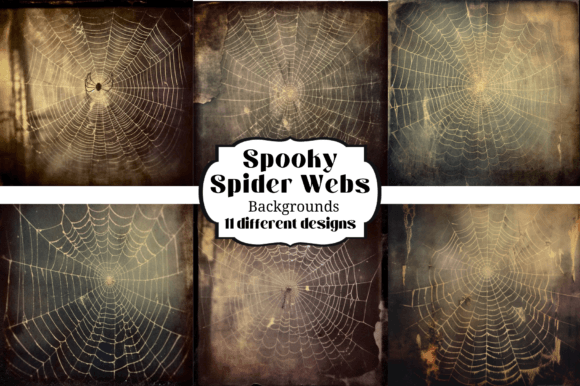 Spooky Spider Web Halloween Backgrounds for Creators